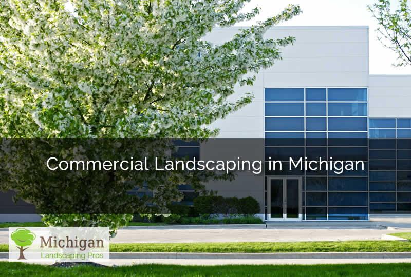 Commercial Landscaping in MI