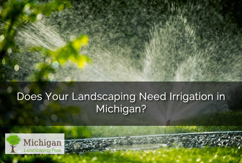 Does Your Landscaping Need Irrigation in Michigan
