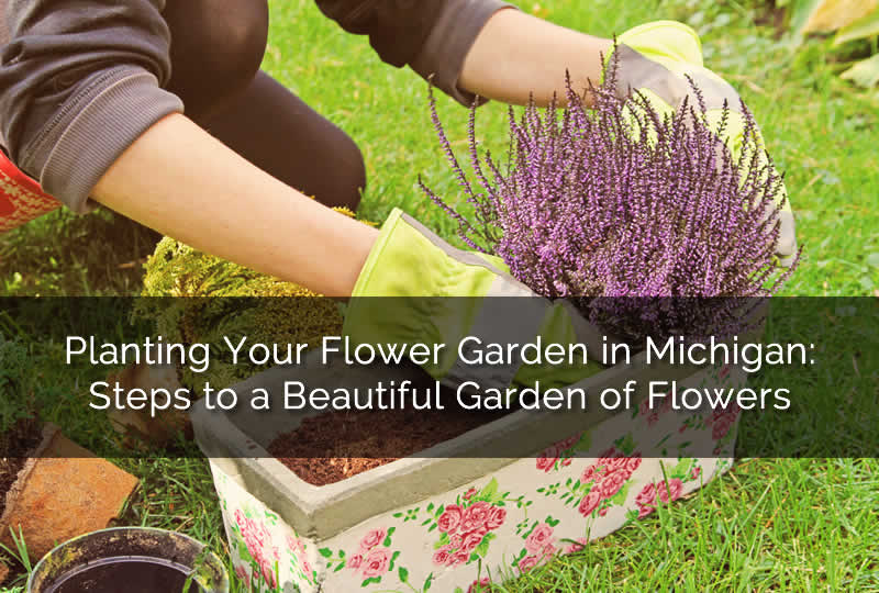 Planting Your Flower Garden in Michigan
