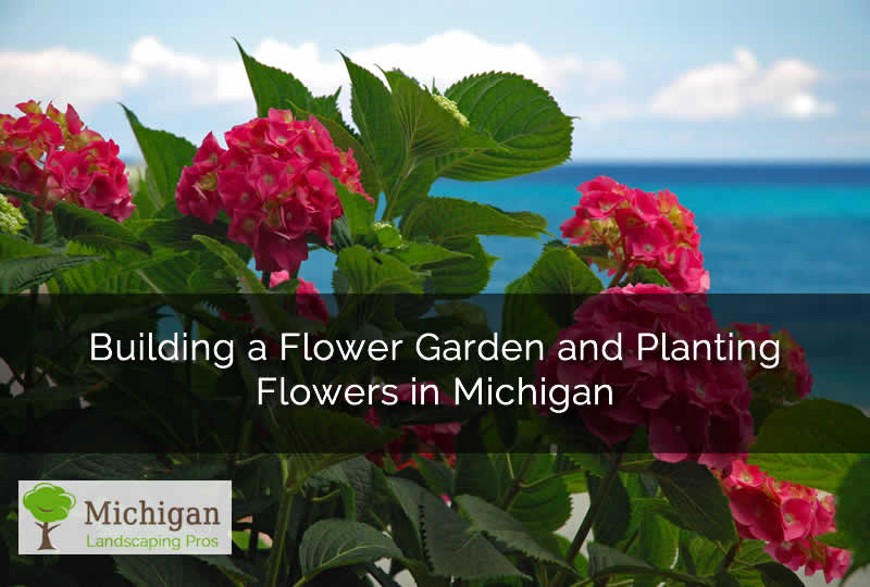 Building a Flower Garden and Planting Flowers in Michigan