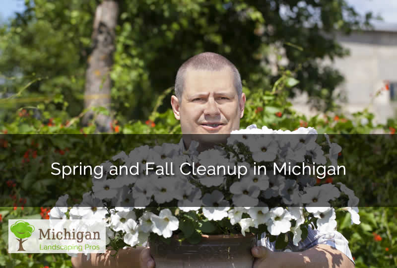 Landscape Cleanup in Michigan