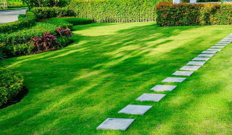 Want the Best Lawn Care in Michigan