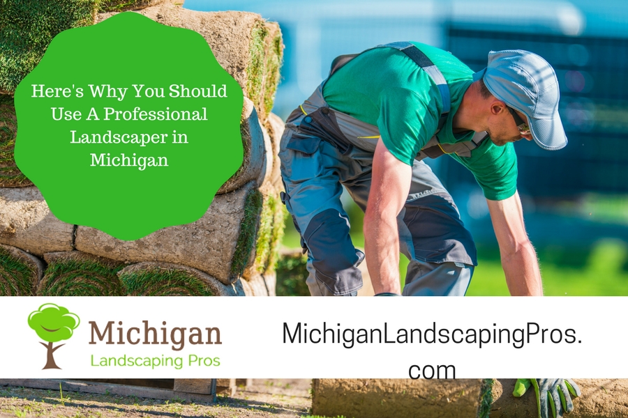 Here's Why You Should Use A Professional Landscaper in Michigan