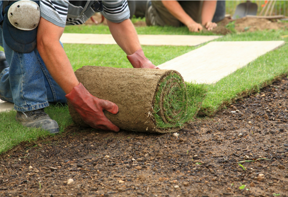 Landscaper Michigan