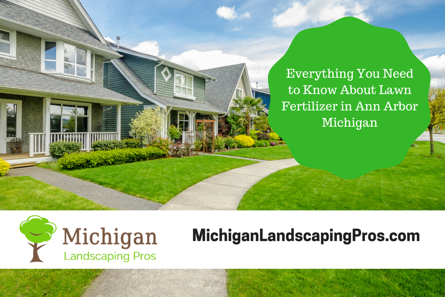 Everything You Need to Know About Lawn Fertilizer in Ann Arbor Michigan