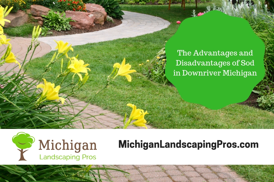 The Advantages and Disadvantages of Sod in Downriver Michigan