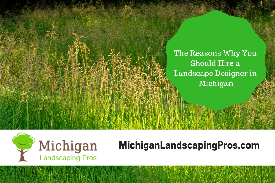 The Reasons Why You Should Hire a Landscape Designer in Michigan