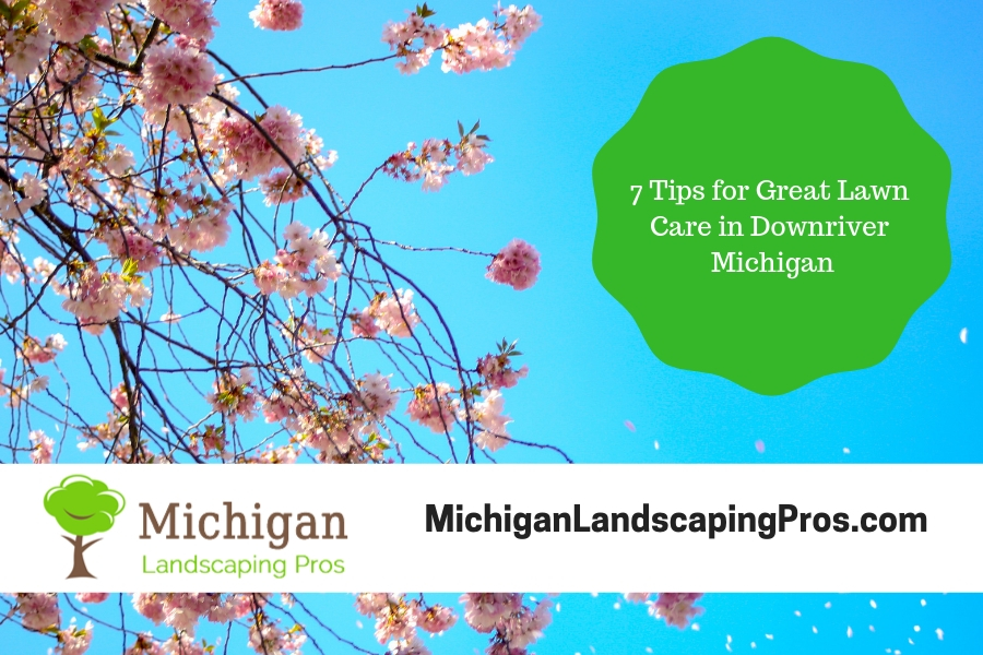 7 Tips for Great Lawn Care in Downriver Michigan