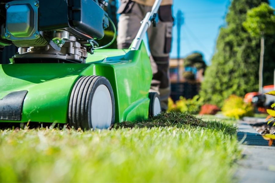 How To Find And Hire The Right Lawn Care Service in Downriver Michigan
