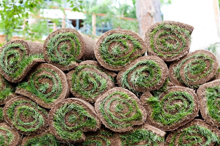 How to Fix Common Problems with Sod Installation in Downriver Michigan